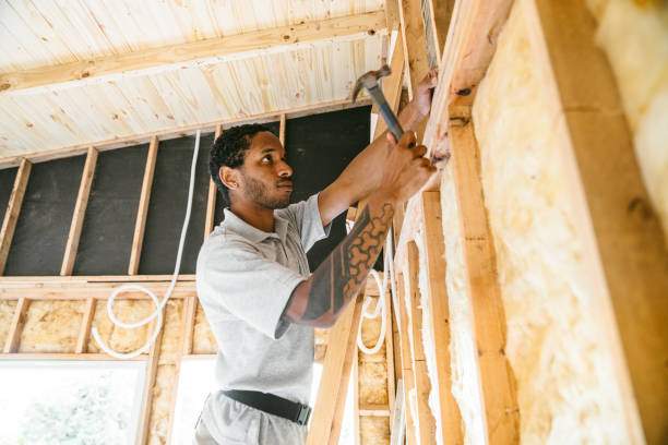 Best Insulation for Existing Homes  in Lancaster, TX